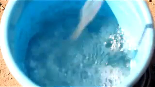 killaqua смотреть онлайн