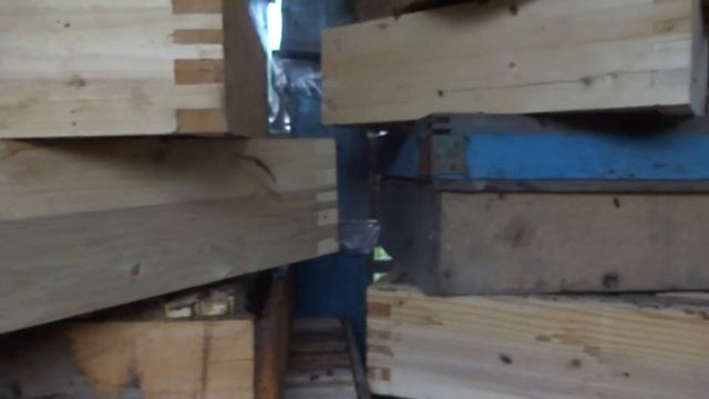 Пчелки сушат магазины смотреть онлайн