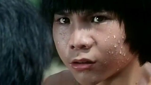Donnerfaust und Tigerkralle -uncut- (german full movie) [Hk1980] смотреть онлайн