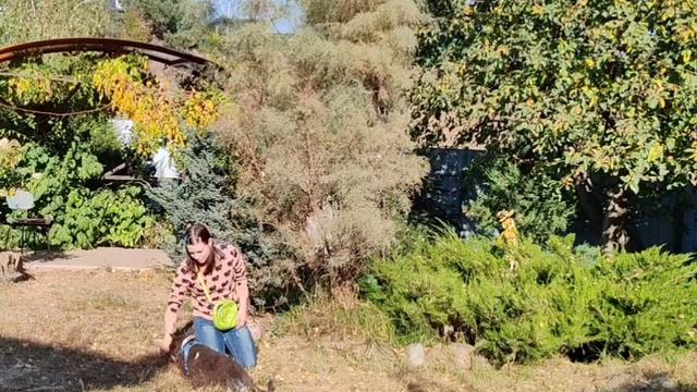 Бочок смотреть онлайн