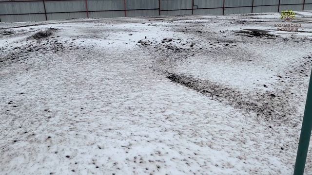Подготовка площадок в Егорьевском питомнике Никитенко Александра к сезону 2023 смотреть онлайн