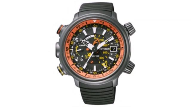 Citizen Eco-Drive Promaster Diver