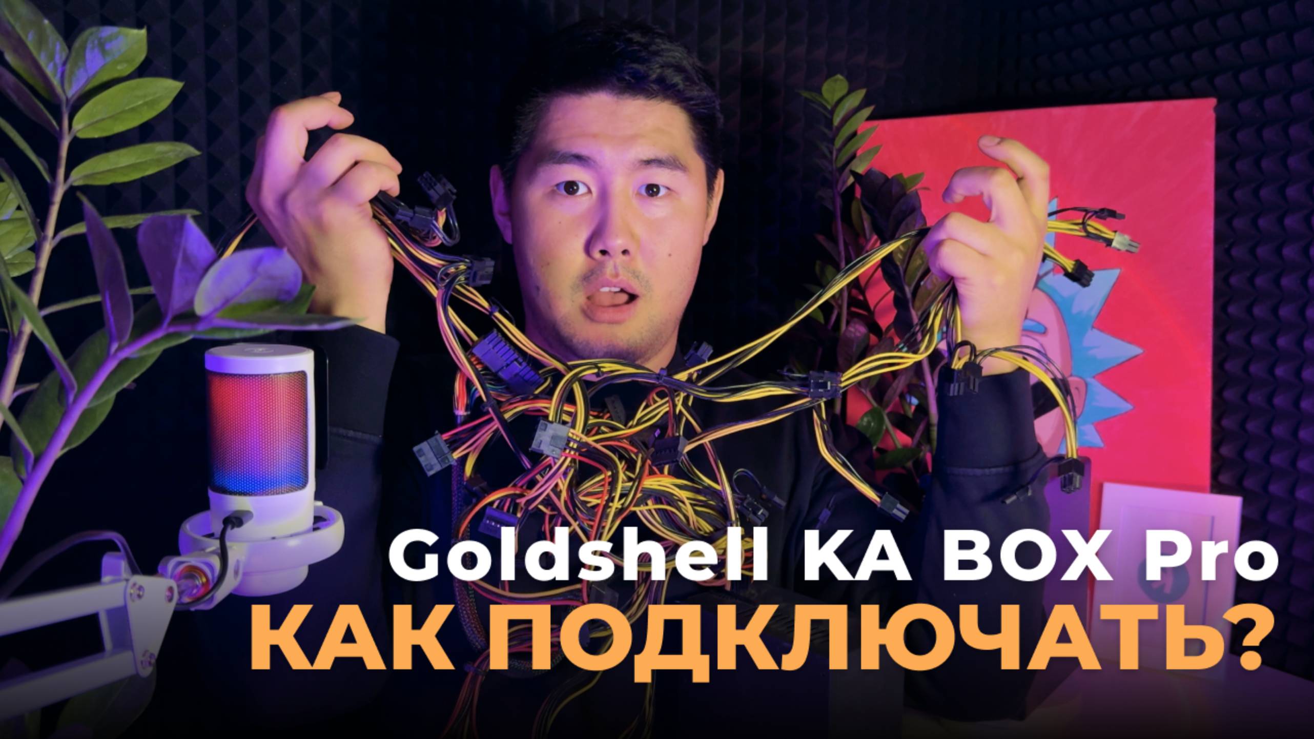 Goldshell KA BOX Pro – ПОЛНЫЙ ОБЗОР! КАК ПОДКЛЮЧИТЬ И ЗАПУСТИТЬ?