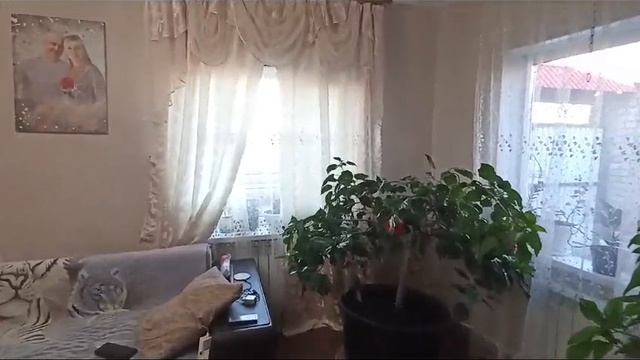 ул.Шмидта #10633174 смотреть онлайн
