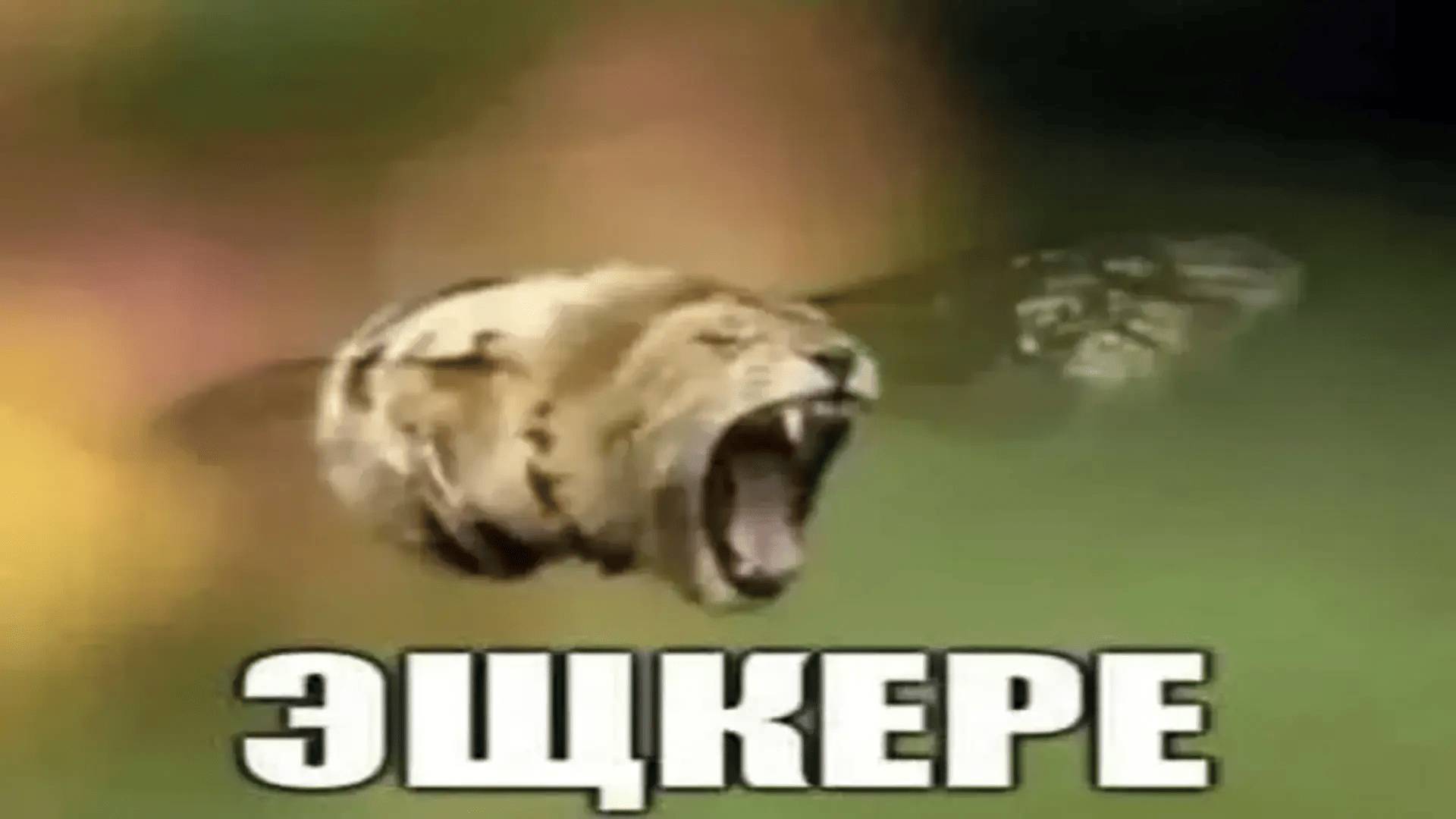 Лучший стрим по UBG