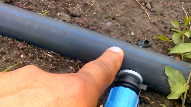 Капельный полив смотреть онлайн