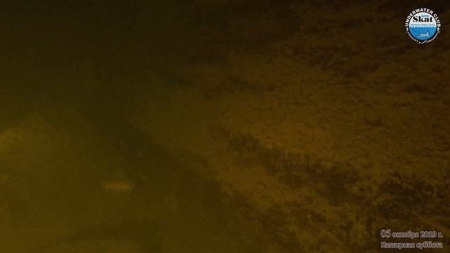 2019_10_05 - Каширная суббота смотреть онлайн