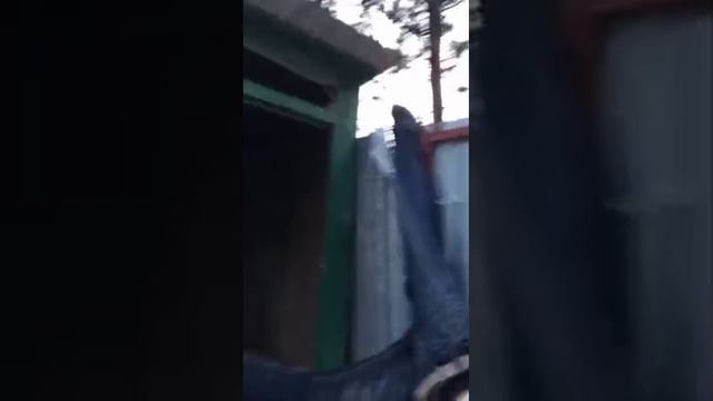 Перепил гравитацию смотреть онлайн