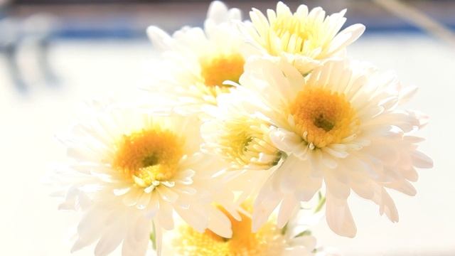 10 ЛУЧШИХ ЛАЙФХАКОВ ДЛЯ ЖИЗНИ смотреть онлайн