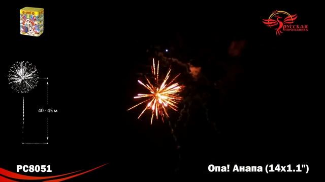 РС8051 смотреть онлайн