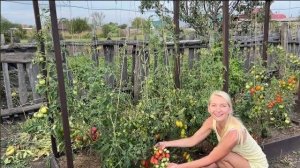 ЦЕЛЫЙ ДЕНЬ В ДЕРЕВНЕ  В ОДНОМ ВИДЕО/НОВЫЙ ПЕТР/СДЕЛАЛИ ПЕСОЧНИЦУ/УРОЖАЙ КОНЦА АВГУСТА