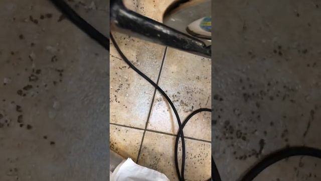 11 мая 2022 г. смотреть онлайн