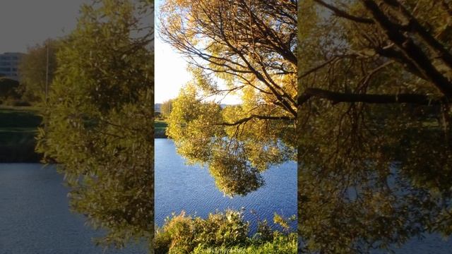 iPhone 5 -  Тест камеры смартфона (фото и видео тест)