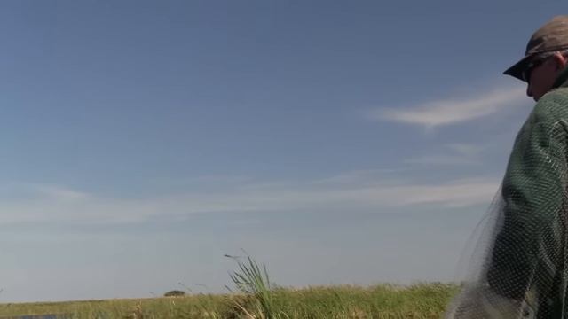Best Big bass bait ever and how to get it смотреть онлайн