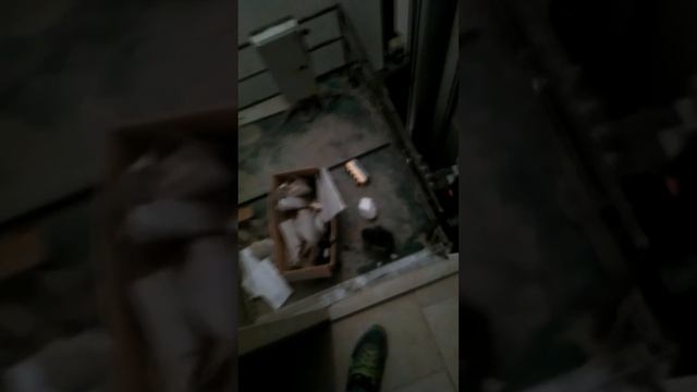 Гидравлический лифт Bravo ! Elevator Bravo смотреть онлайн