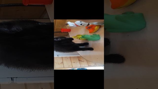 игры детям