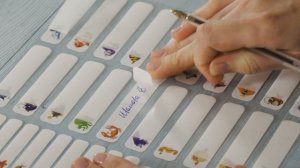 Универсальные наклейки для маркировки канцелярии | FIX PRICE