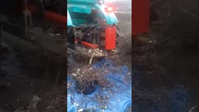 Трактор Т-40,Подрібнювач гілок, Измельчитель веток, дробилка! смотреть онлайн