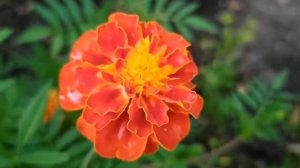 Ключ от всех дверей 1 - 16 серию (сериал 2021)