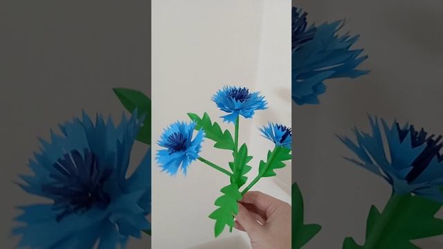 Красивые васильки смотреть онлайн