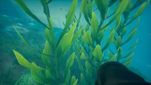 My First SOLO Tuck EVER! Fort of Fortune Heist | Sea of Thieves смотреть онлайн