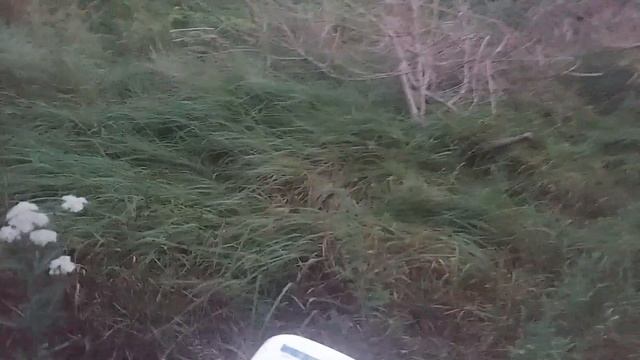 Лиза уже во дворе смотреть онлайн