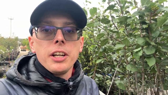 Удобное обозначение подвоев в Егорьевском питомнике Никитенко Александра смотреть онлайн