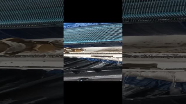 Обслуживание кондиционера.09.09.24