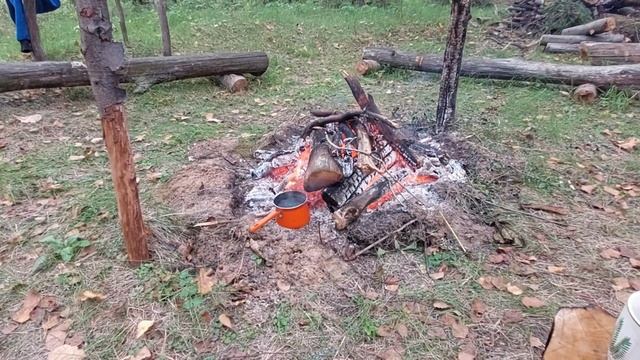 "Горячие хинкали на костре - аромат путешествия и вкус гостеприимства" #Takanax #Khinkali #Riversid смотреть онлайн