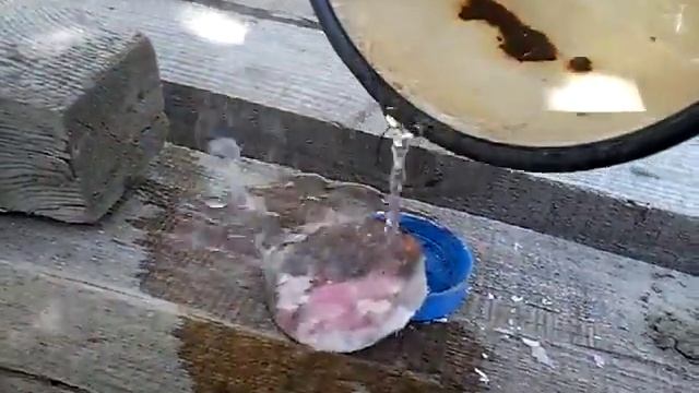 Что будет если горячий воск облить холодной водой смотреть онлайн