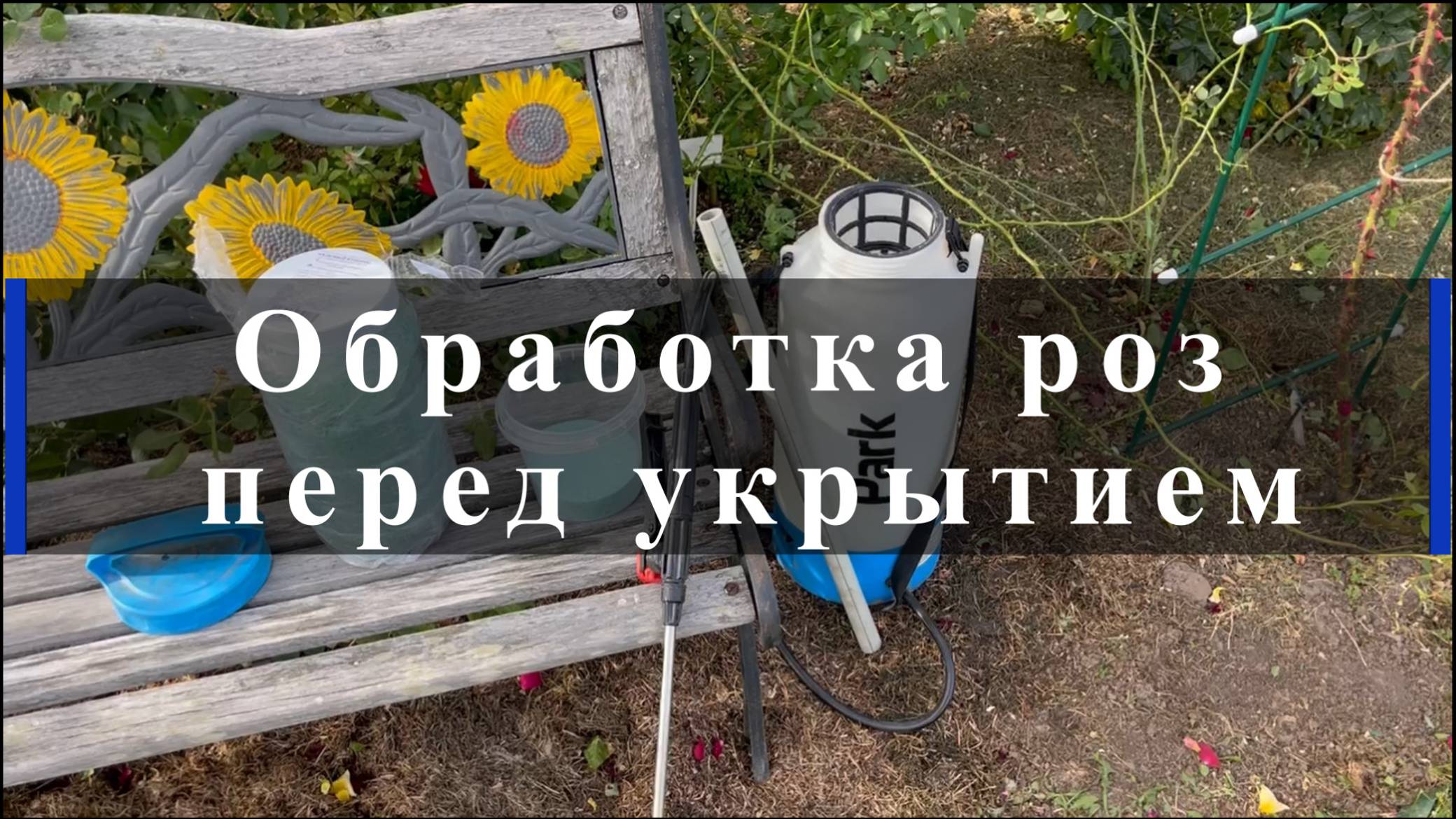 Обработка роз перед укрытием смотреть онлайн