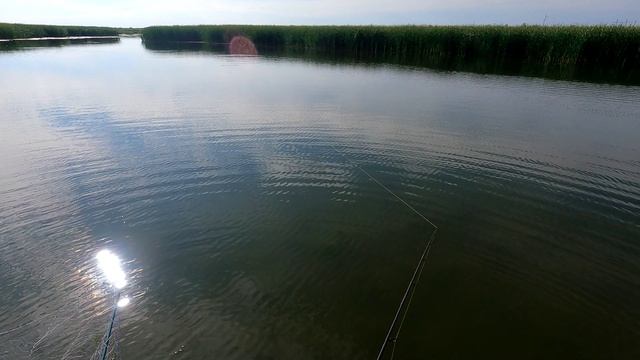 Ловлю ЩУКУ на меляке смотреть онлайн