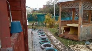 Первый снег в Иркутске на даче