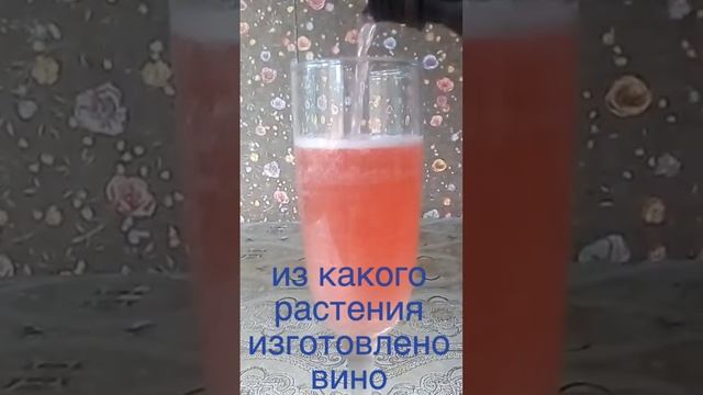 из какого растения изготовлено вино? пиши ответ