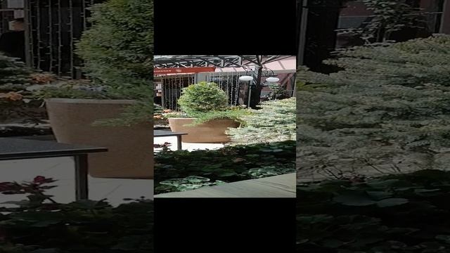 В ресторане Резиденция(Времена Года)