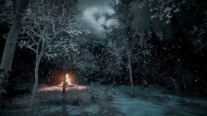 Прекрасный белый шум в зимнем лесу с метелью для сна и отдыха