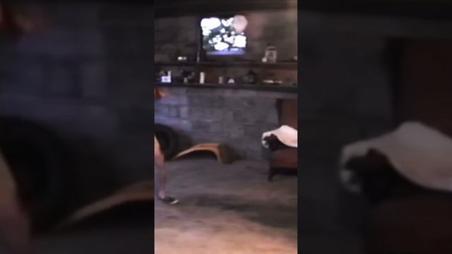 Драка Цоя #иммиграция #америка #сша #кино #миграциявамерику #russianamerica смотреть онлайн