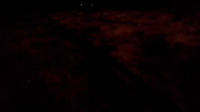 Смешной побег от собак ночью, в лесу Шок смотреть онлайн