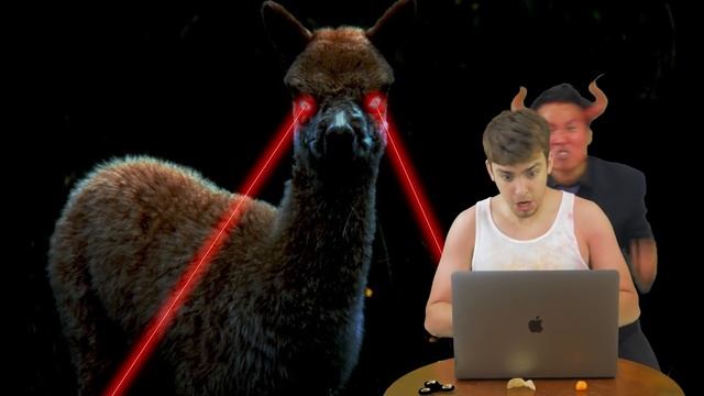 HOW TO WRITE A RESUME - Explained Using DEATH METAL смотреть онлайн