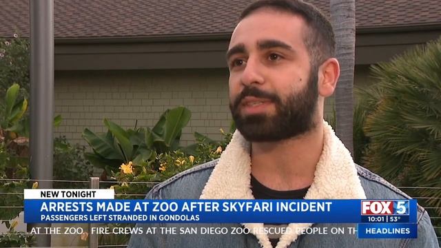 Arrest Made At Zoo After Skyfari Incident смотреть онлайн
