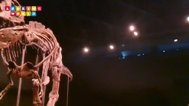 Real dinosaur skeleton in the museum смотреть онлайн