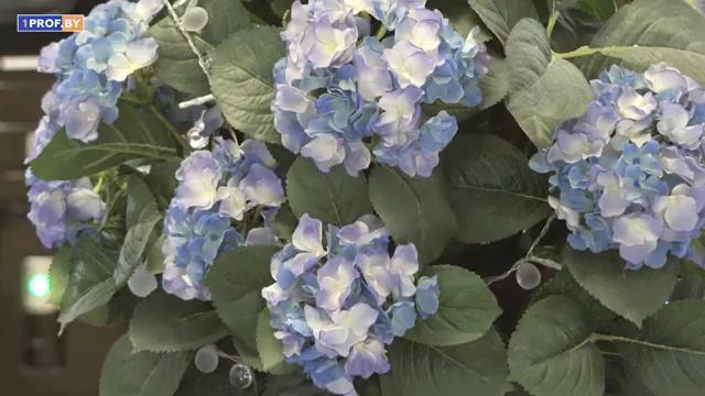 60% сотрудников в отрасли связи – женщины смотреть онлайн