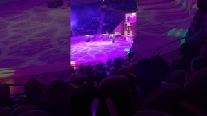 #Загадка старой игрушки, в Ивановском цирке. 2023 1#