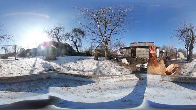 Утки 360 градусов смотреть онлайн