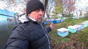 СМОТРИМ РЕЗУЛЬТАТ ОБЪЕДИНЕНИЯ РОЁВ С ОСНОВНЫМИ ПЧЕЛОСЕМЬЯМИ.
