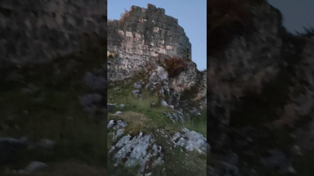 1000086491.mp4 смотреть онлайн