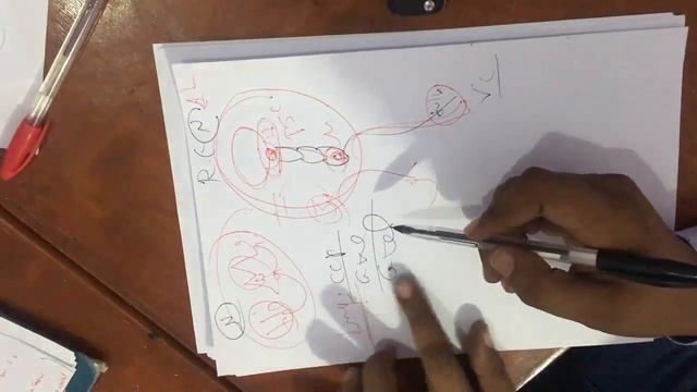 Cardio Dr Ayman Ragab ( Most Imp questions ) смотреть онлайн