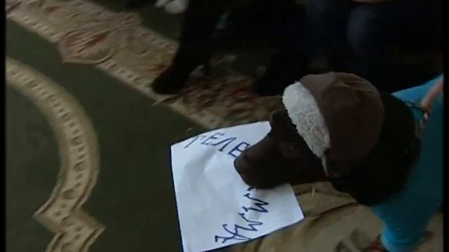Коррекционный театр от самих маленьких смотреть онлайн
