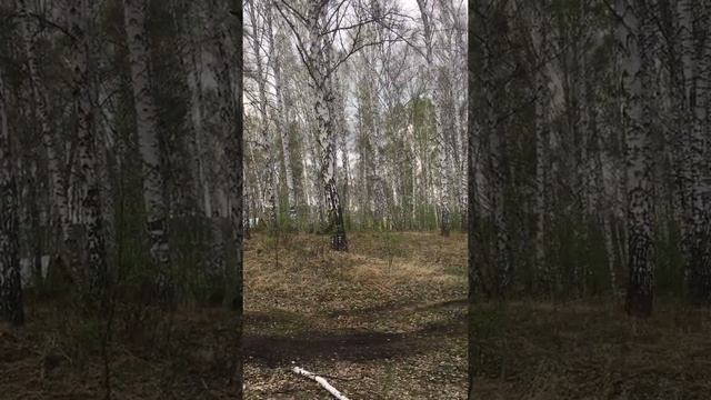 Поступь Победы 2020 Яна Янчишина смотреть онлайн