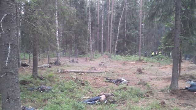 Сражение при Куутерселькя смотреть онлайн